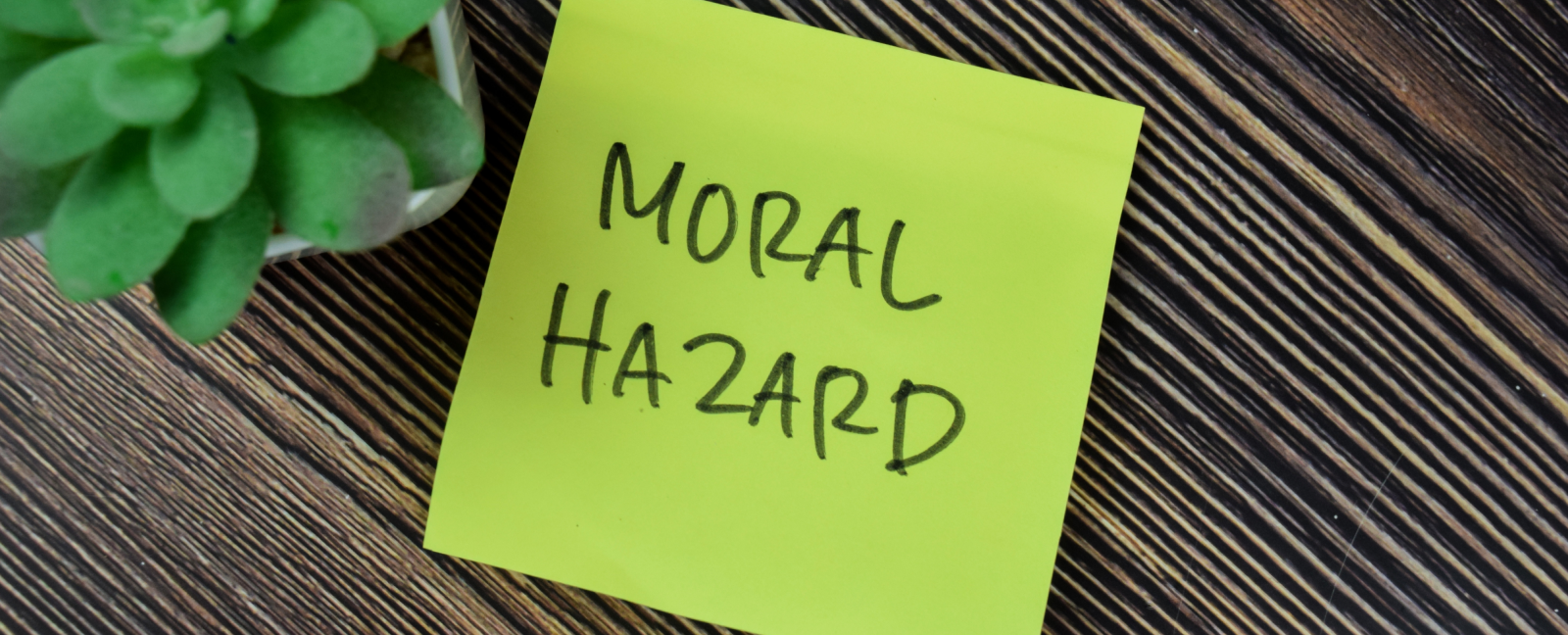 Moral Hazard: Why Actions Have Consequences