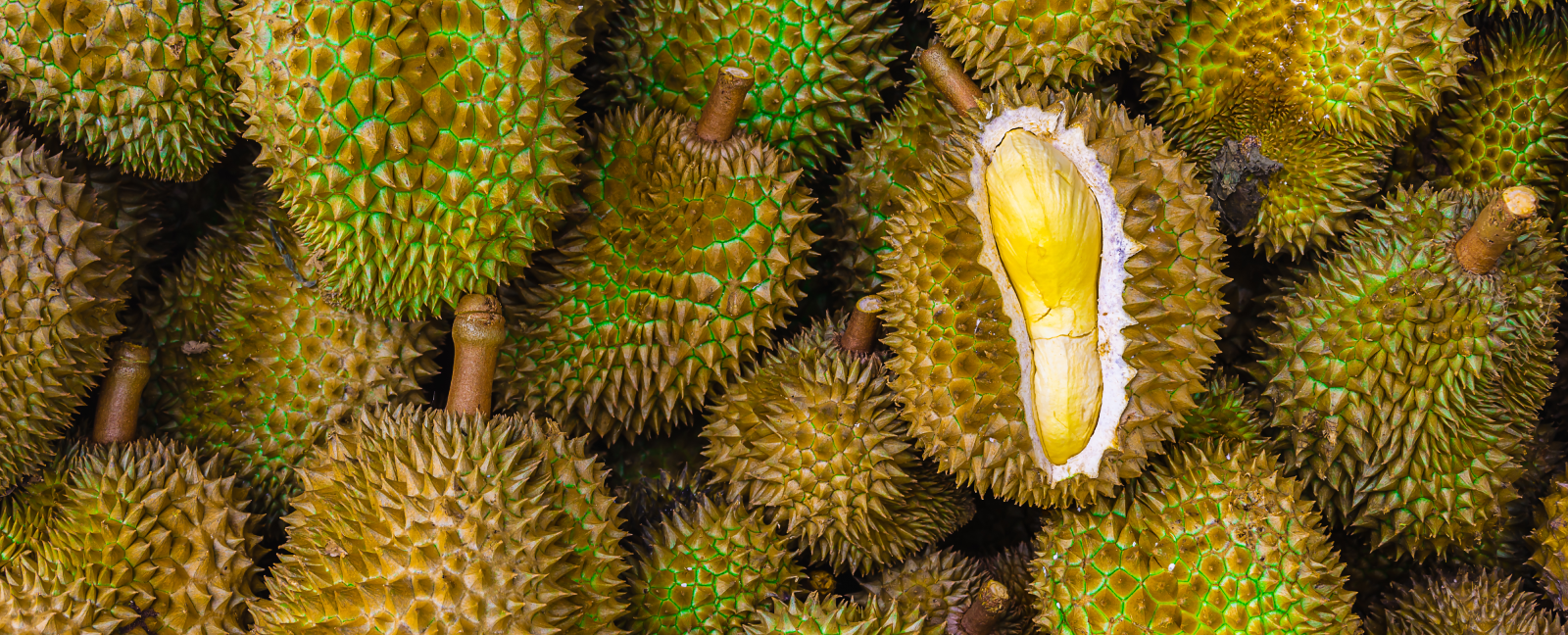 The Durian Story