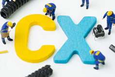 ISM Endorsed Customer Experience (CX) and Brand Activation Professional - Virtual Learning
