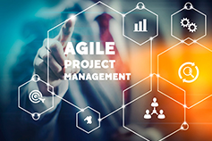 Managing Agile Projects - Virtual Learning