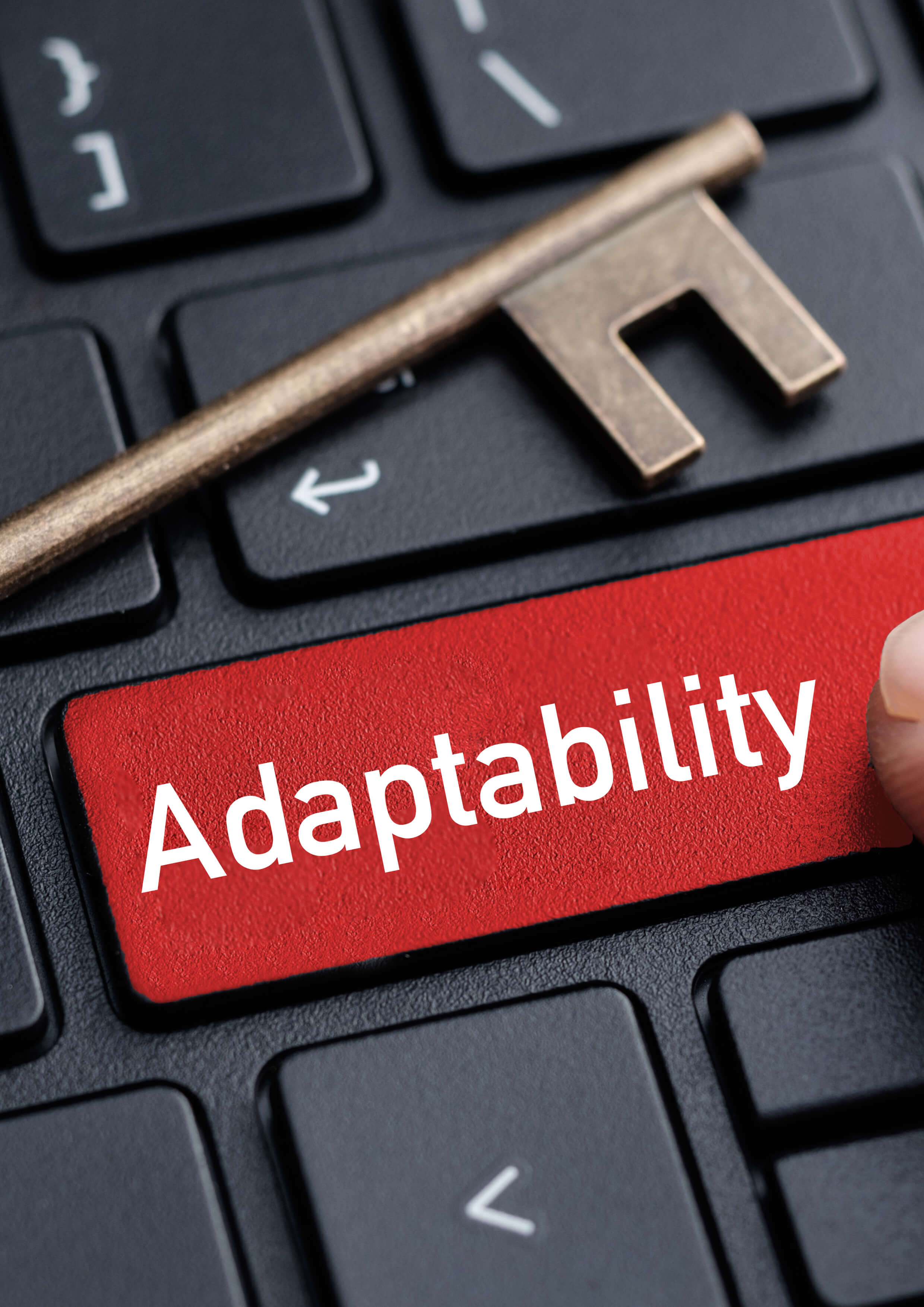 Learning through adaptability Training Courses - | Meirc